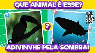 ❓ Adivinhe o pela sombra Edição: animais Parte#2 🦁 🐵