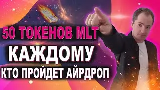 Как получить 50 токенов MLT по айрдропу Mintlayer