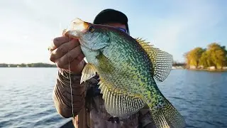 Late Fall Crappie Fishing (Finally Found Fins)