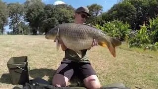 CARP FISHING SOUTH AFRICA / Wemmerpan Specimen Camp