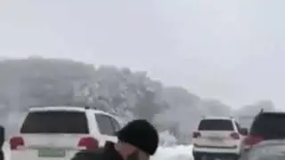 Обожествление дерева суфистами и опровержение им из хадиса