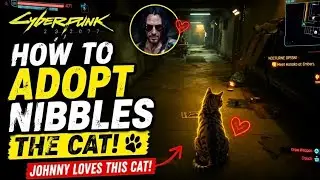 How to Adopt NIBBLES the Cat in Cyberpunk 2077! 🐈✨