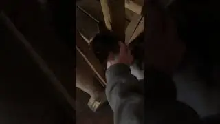 Камчатка банные