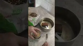 (Банковская) ячейка для мицелия