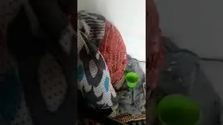 27 мая 2021 г.