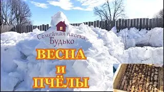 Зимовка пчёл под снегом