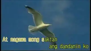 [026906] Nasaan Ka - Roel Cortez - KY Feeltong 1500 Karaoke (금영슈퍼 필통 노래방) (Vivaus Pro Inteface Ver.)