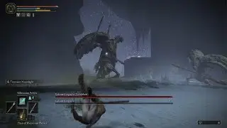 Elden  Ring - Hotspring with two gargoyle baddies