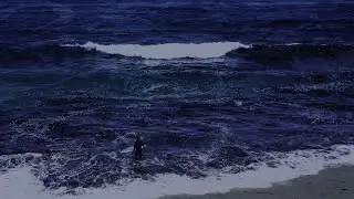 Fall Asleep with Gentle Sounds Of Waves Crashing At Night - Ocean Sounds For Deep Sleeping