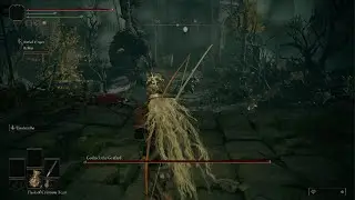 ELDEN RING Godrick the Grafted Co-Op