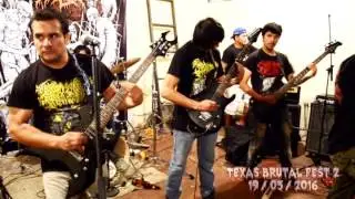 VISCERAL DECAY -  Abortion on Excrement