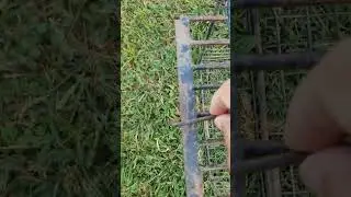 Antique cage trap 