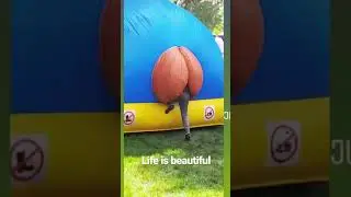 Ankha Zone Meme 🤣
