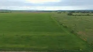 Арбузное поле