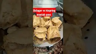Natagor vs kicimpring kampung 