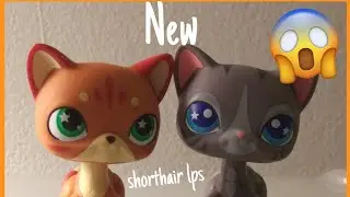 Lps: opening new lpsloverqa shorthairs