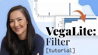 Mastering Data Filters in Vega-Lite: Simplify Large Datasets for Better Visualization