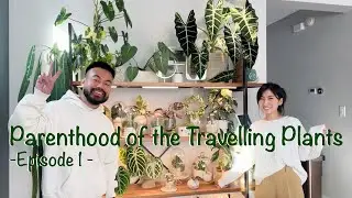 Meet & Learn from Her Plant Stories + Houseplant Collection Tour