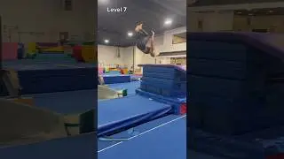 HOW HIGH CAN YOU BACKFLIP CHALLENGE! 