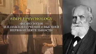 Физиология. И.П. Павлов и учение о высшей нервной деятельности.