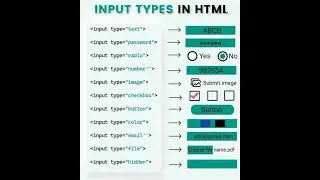 Input Types in HTML 