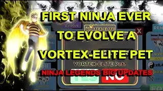 🔥 BIG UPDATE!! FIRST NINJA TO EVOLVE VORTEX ELITE PET ROBLOX ⚡ NINJA LEGENDS