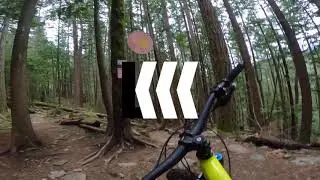 Pamplemousse in Squamish with Drop!