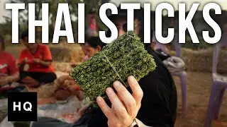 Hunting for Thai Sticks in Thailand