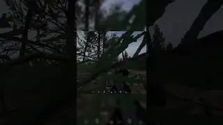 "Surprise!"- a VERY short film