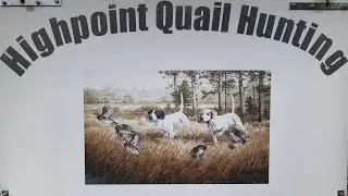 Georgia Quail Hunting | Highpoint Quail Preserve