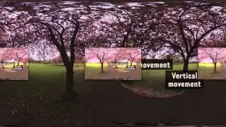360° video experiment - Final Cut Pro X titles over still