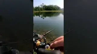 Bass pro swerve glide bait