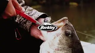 Why You Should Fish during the Fall season: Berkley Fishing