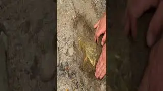 verr Big gold baar
