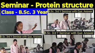 protein structure seminar bsc third year