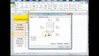 Page Setup for Excel 2010