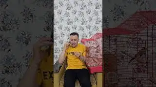 البسة اكلت العصفور | bird | cat