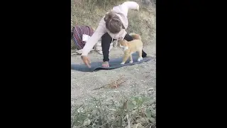 Йога с котом