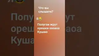 ахахах