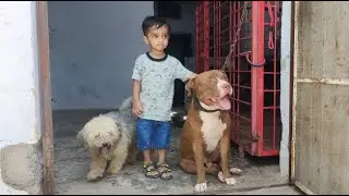guber apny ghar bot kuesh ha