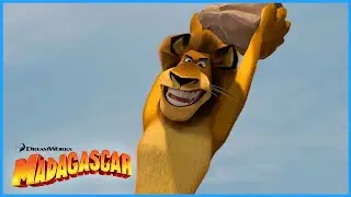 Silly Alex | Best of Alex | DreamWorks Madagascar