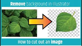 remove background || How to cut out an image in Adobe Illustrator || Hindi