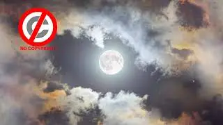 Yah Yah   josh pan - No Copyright Music