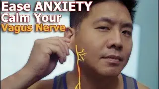 RELAX Your Nervous System With These Vagus Nerve Tricks | Physical Therapist Teaches Biohack