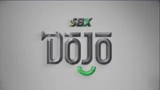 What Are The 3 Investment Paths You Can Take To Thrive In SBX?