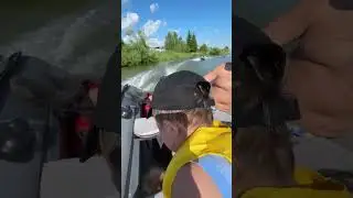 Кто нашел где Варда и Давид?
