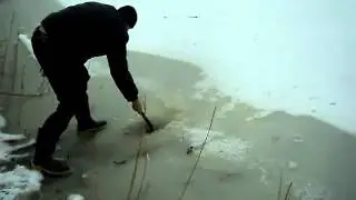 Ловля живца 2