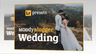 Wedding LR Presets  2019