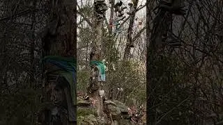 Strange Discovery 