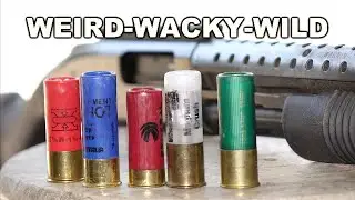 WEIRD-WACKY-WILD Super Exotic Shotguns Rounds!